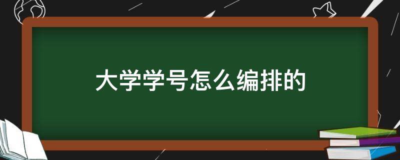 大学学号怎么编排的 河南大学学号怎么编排的