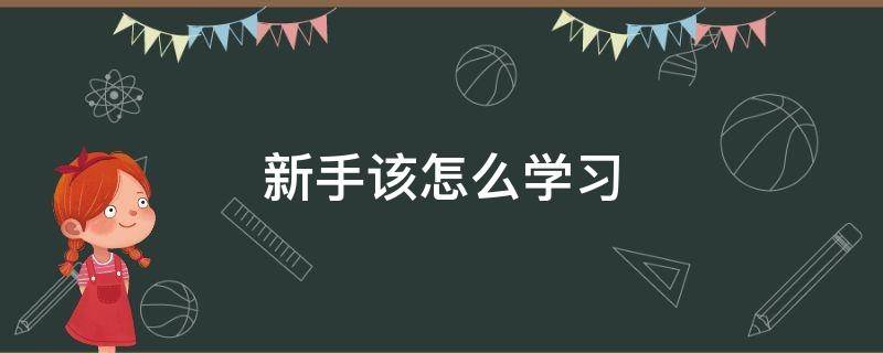 新手该怎么学习 新手如何入门