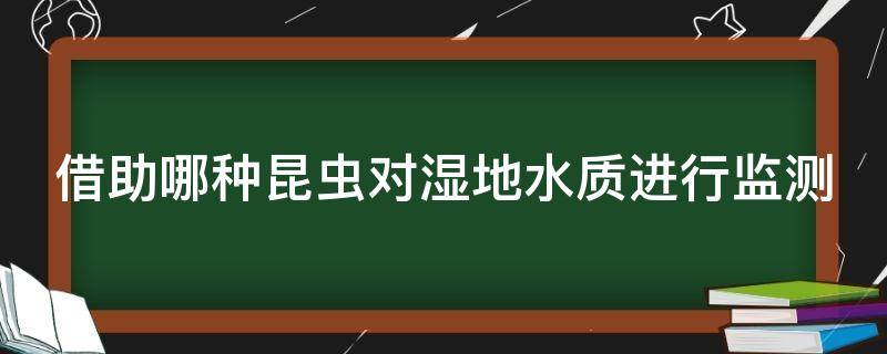 借助哪种昆虫对湿地水质进行监测（借助哪种昆虫对湿地水质进行监测的方法）