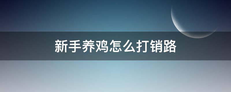 新手养鸡怎么打销路（养鸡怎么销售出去）