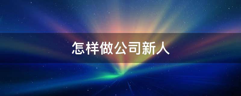 怎样做公司新人 怎样做公司新人工作