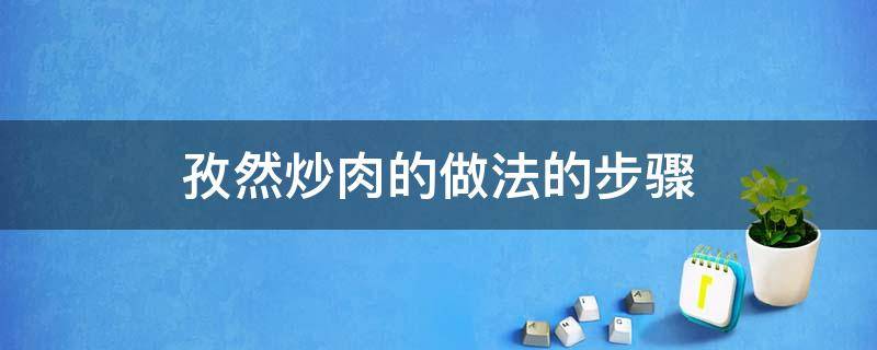 孜然炒肉的做法的步骤（孜然炒肉的做法的步骤窍门）