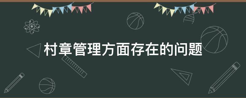 村章管理方面存在的问题（村章管理情况说明）