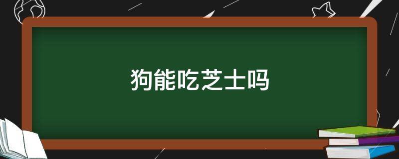 狗能吃芝士吗 狗能吃芝士吗会死吗