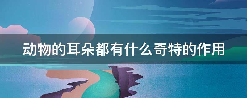 动物的耳朵都有什么奇特的作用 动物的耳朵都有什么奇特的作用呢
