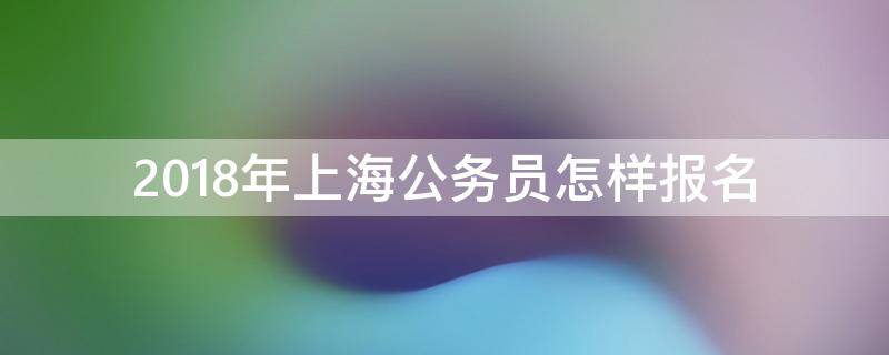 2018年上海公务员怎样报名（2018年上海公务员怎样报名的）