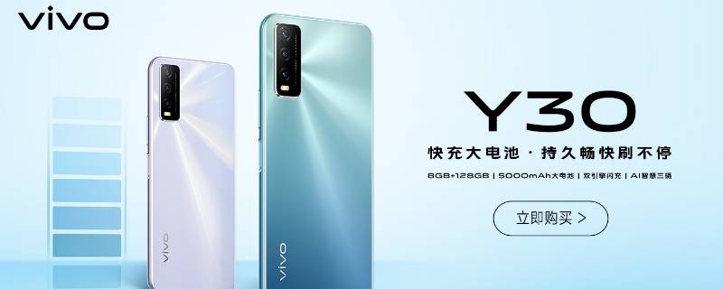 vivoy30标准版和vivoy30的区别 vivoy30和vivoy30标准版一样吗
