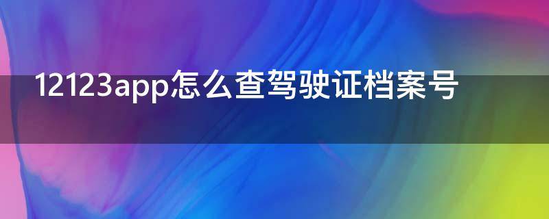 12123app怎么查驾驶证档案号 12123app怎么查驾驶证档案编号