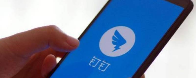 钉钉下载文件都存哪里了 钉钉下载的文件在什么位置