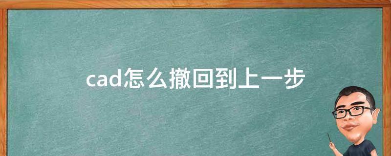 cad怎么撤回到上一步 cad怎么撤回到上一步下一步