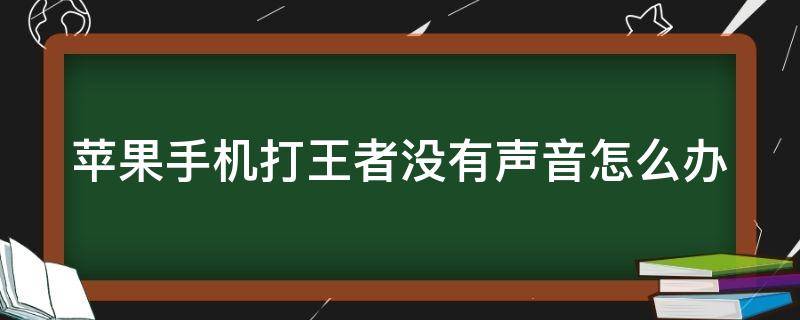 苹果手机打王者没有声音怎么办 苹果手机打王者荣耀没有声音怎么办