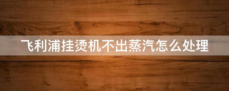 飞利浦挂烫机不出蒸汽怎么处理 飞利浦挂烫机的使用方法视频教程