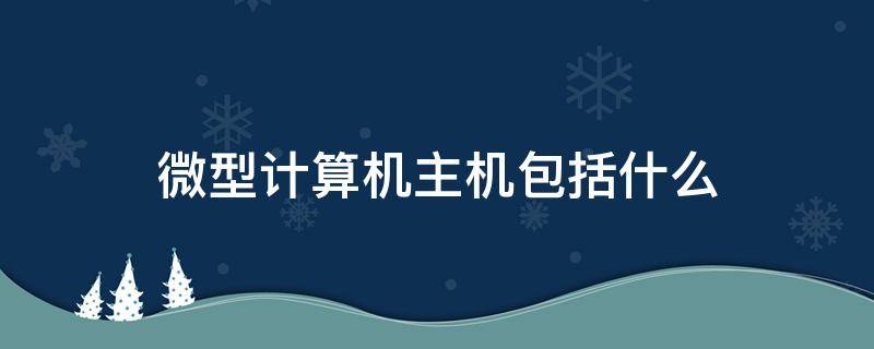 微型计算机主机包括什么 微型计算机主机主要由什么组成