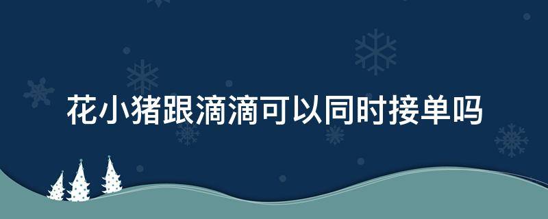 花小猪跟滴滴可以同时接单吗（花小猪可以和滴滴一起接单吗）