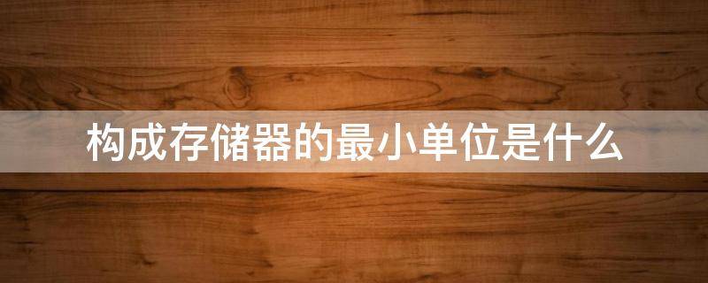 构成存储器的最小单位是什么（构成存储器的最小单位是什么知乎）
