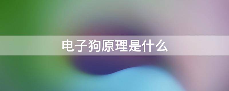电子狗原理是什么 电子狗工作原理及选购技巧