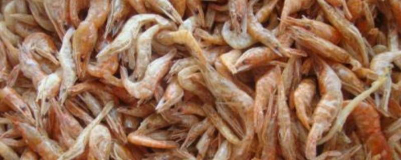 野生河虾什么季节捕捉最多