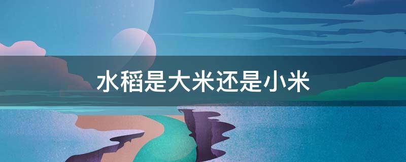 水稻是大米还是小米 水稻是大米还是小米?