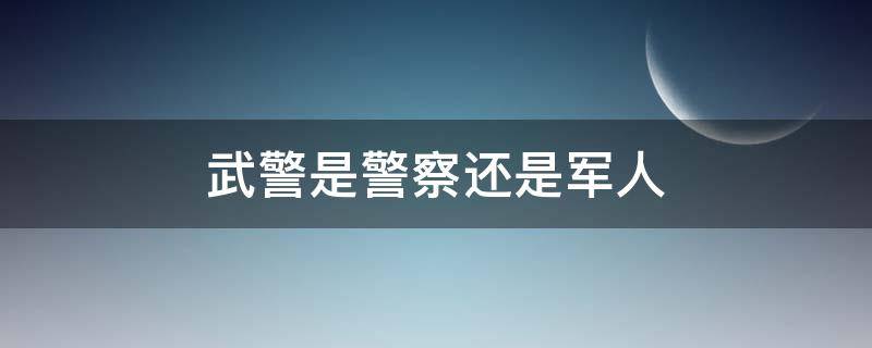 武警是警察还是军人 特警和武警哪个级别高