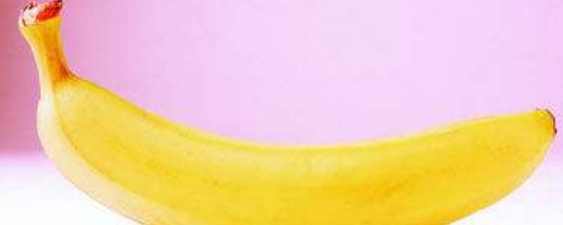 香蕉是植物的果实吗 香蕉是植物的果实吗图片
