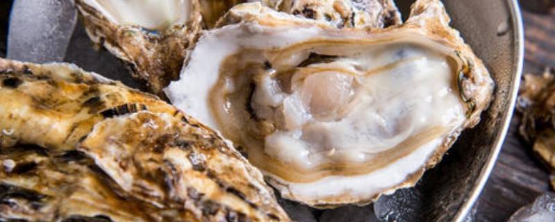 生蚝肚子里面黑绿色的能吃吗（生蚝肚子里面黑绿色的能吃吗图片）