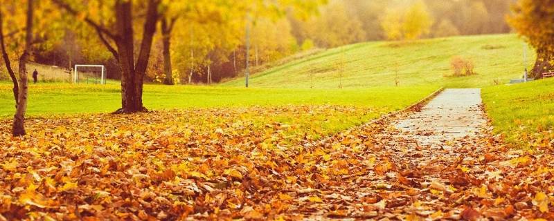 收获季节是什么时候（霞浦紫菜收获季节是什么时候）