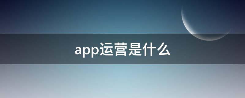 app运营是什么（APP运营是什么岗位）