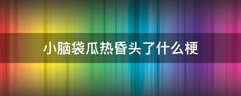 小脑袋瓜热昏头了什么梗
