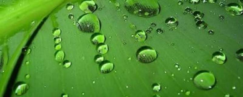 什么颜色可以调成绿色 粘土什么颜色可以调成绿色