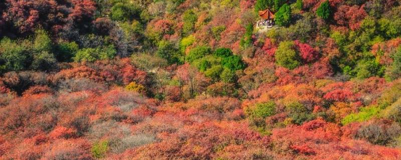 石门坊红叶谷在哪里（石门坊红叶门票多少钱）