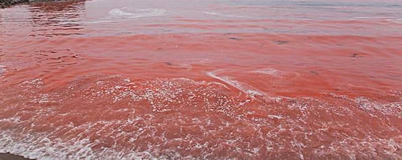 红海在什么板块和什么板块之间 红海在什么板块和什么板块之间图片