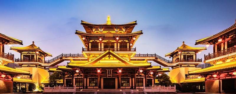 牡丹花城是哪个城市（牡丹之乡是菏泽还是洛阳）