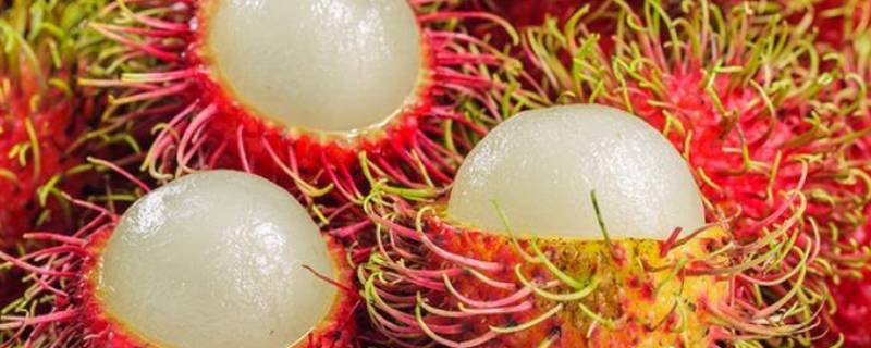 红毛丹什么时候上市 红毛丹什么时候成熟