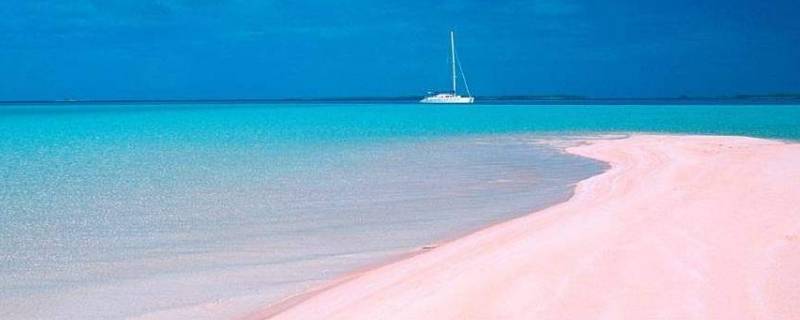 粉色沙滩在哪里（科莫多粉色沙滩在哪里）