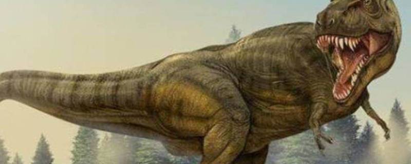 霸王龙的生活习性（霸王龙的生活特点都有哪些）