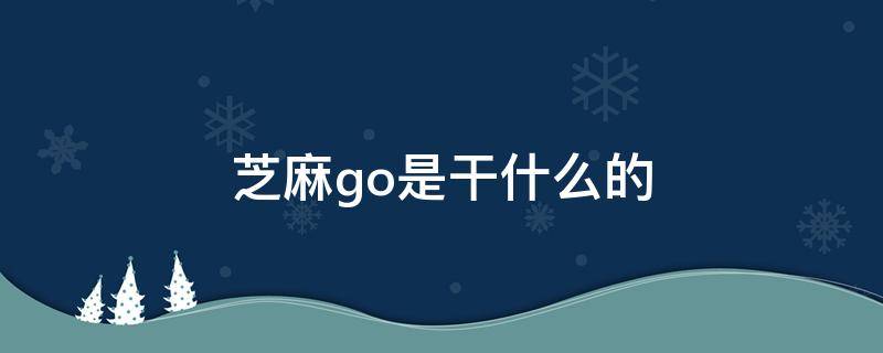 芝麻go是干什么的 什么叫芝麻GO