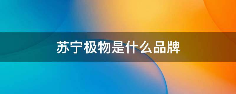 苏宁极物是什么品牌（苏宁极物是什么牌子）