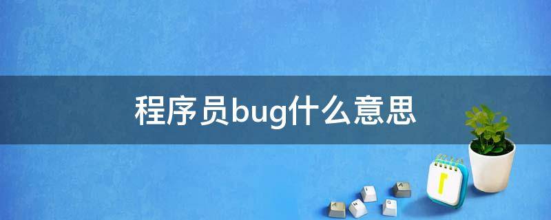 程序员bug什么意思 程序员为什么要写bug