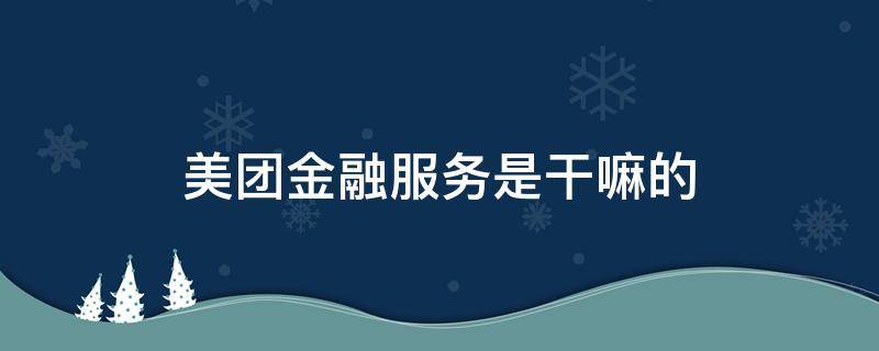美团金融服务是干嘛的（美团金融是什么?）