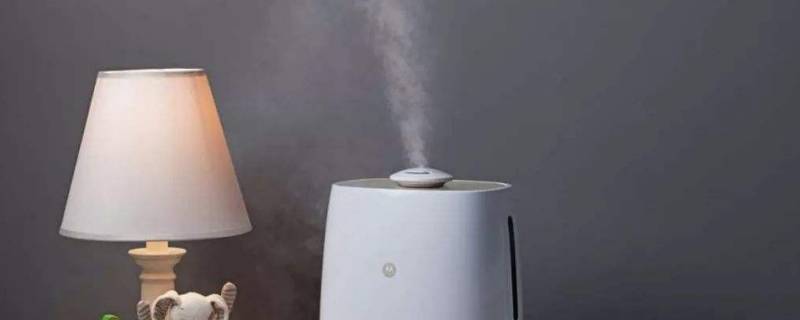 加湿器出来的是冷气还是热气（加湿器是出凉气还是热气）