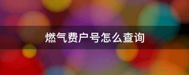 燃气费户号怎么查询 燃气户号怎么查询