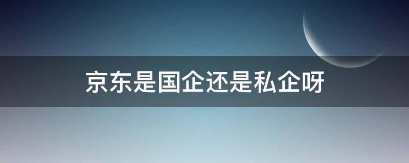 京东是国企还是私企呀（京东算是国企还是私企）