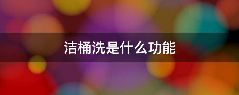 洁桶洗是什么功能 洁桶洗有用吗
