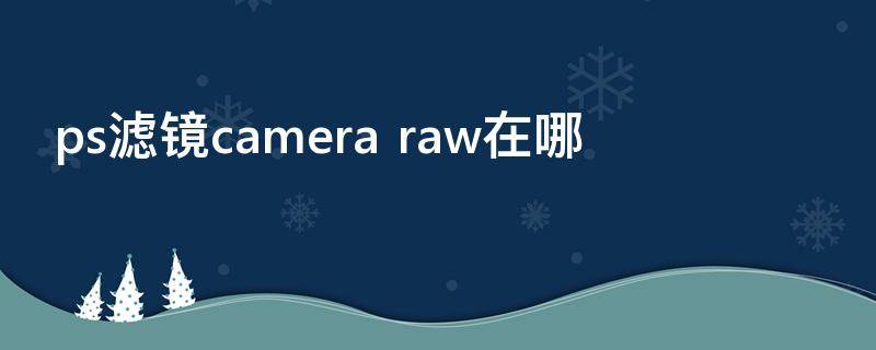 ps滤镜camera（ps滤镜camera raw调色）