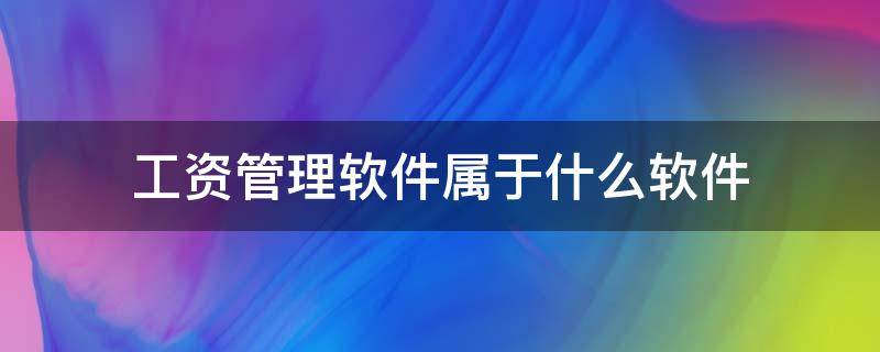 工资管理软件属于什么软件 工资管理软件属于什么软件?