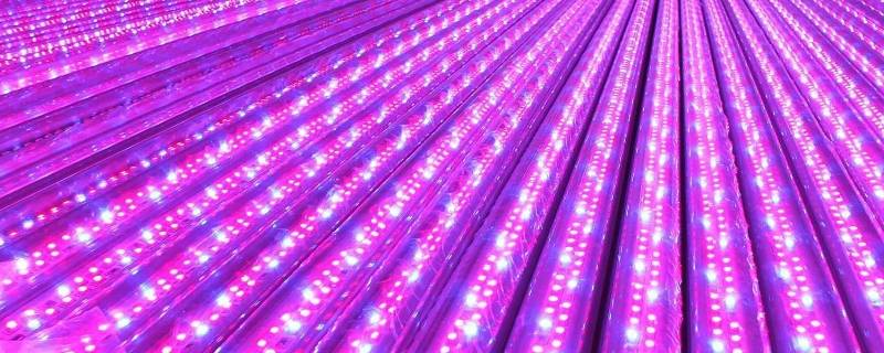 led灯属于什么垃圾分类 led灯管属于哪一类垃圾