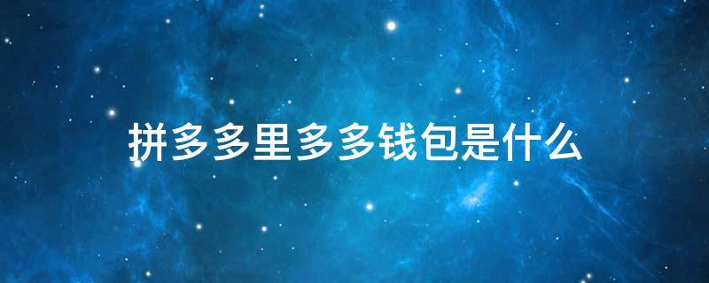 拼多多里多多钱包是什么 拼多多里的多多钱包是什么
