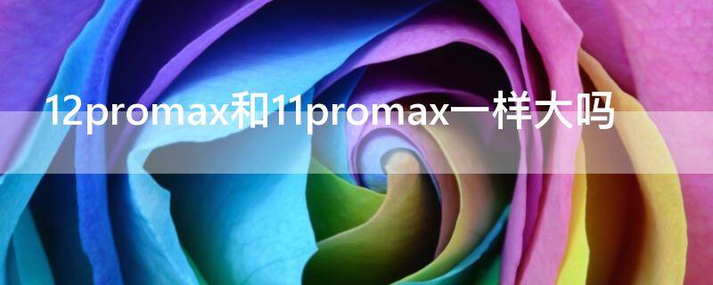 12promax和11promax一样大吗（12promax和12一样大吗）