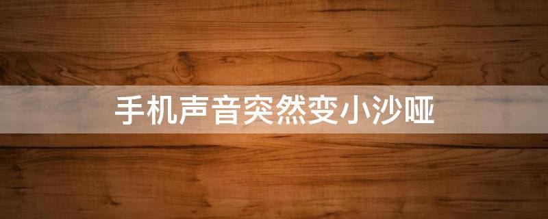 手机声音突然变小沙哑 手机声音突然变小沙哑怎么办vivo