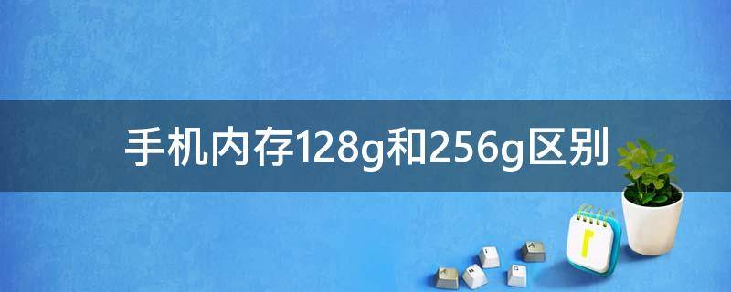 手机内存128g和256g区别（手机内存512g和256g区别）